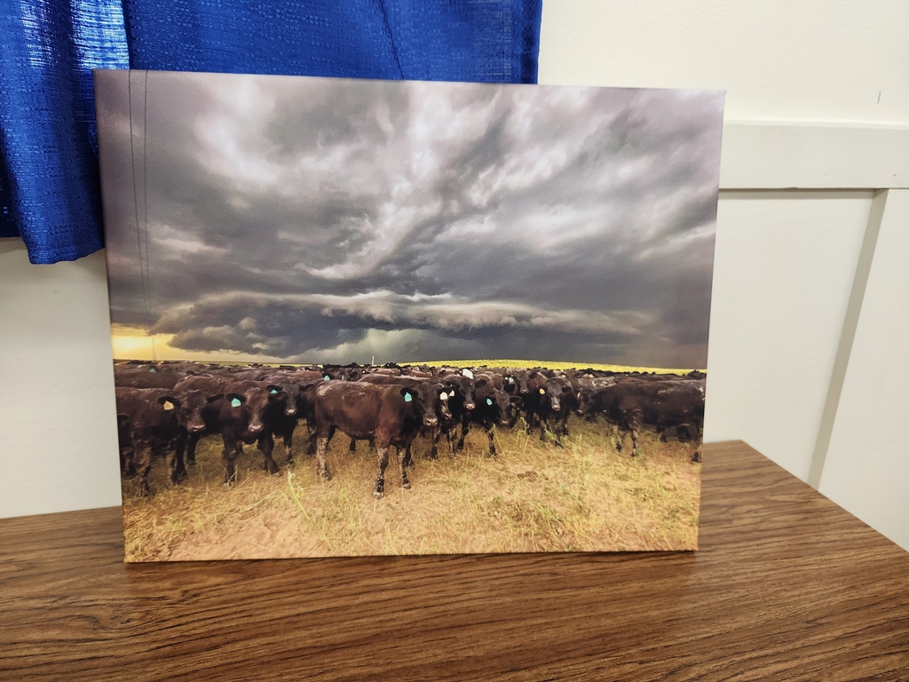 Canvas picture of cattle herd under a storm 