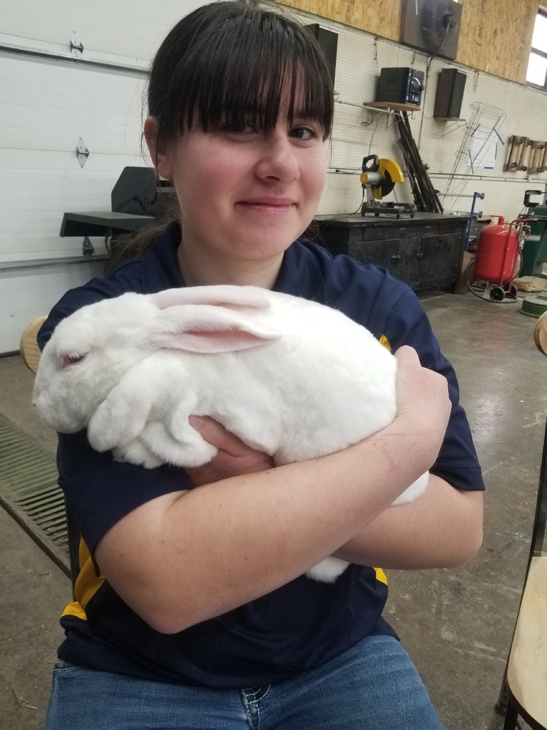 FFA member holding rabbit